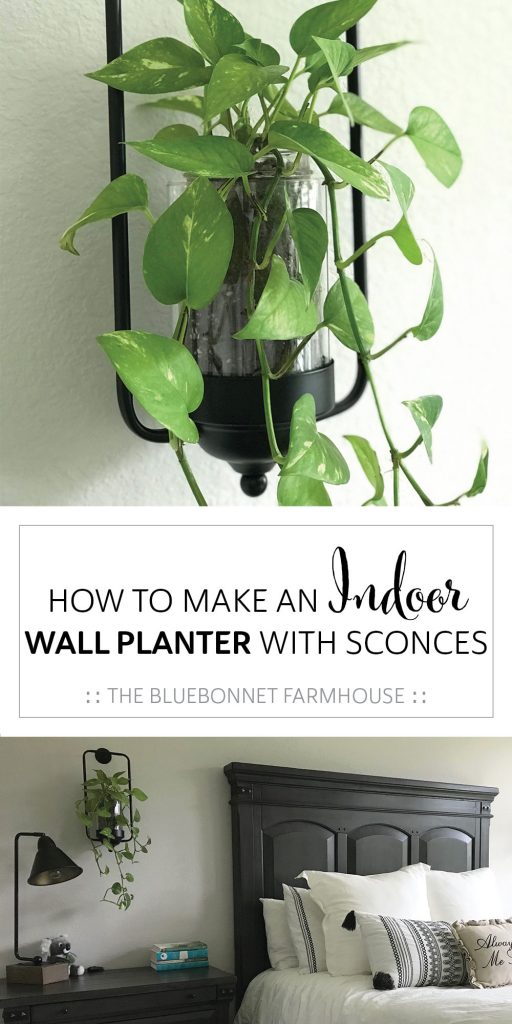 Plant sconces store