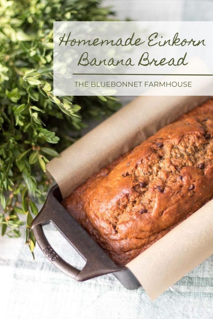 text reads homemade einkorn banana bread pictured in a cast iron loaf pan lined with parchment paper and boxwood wreath behind