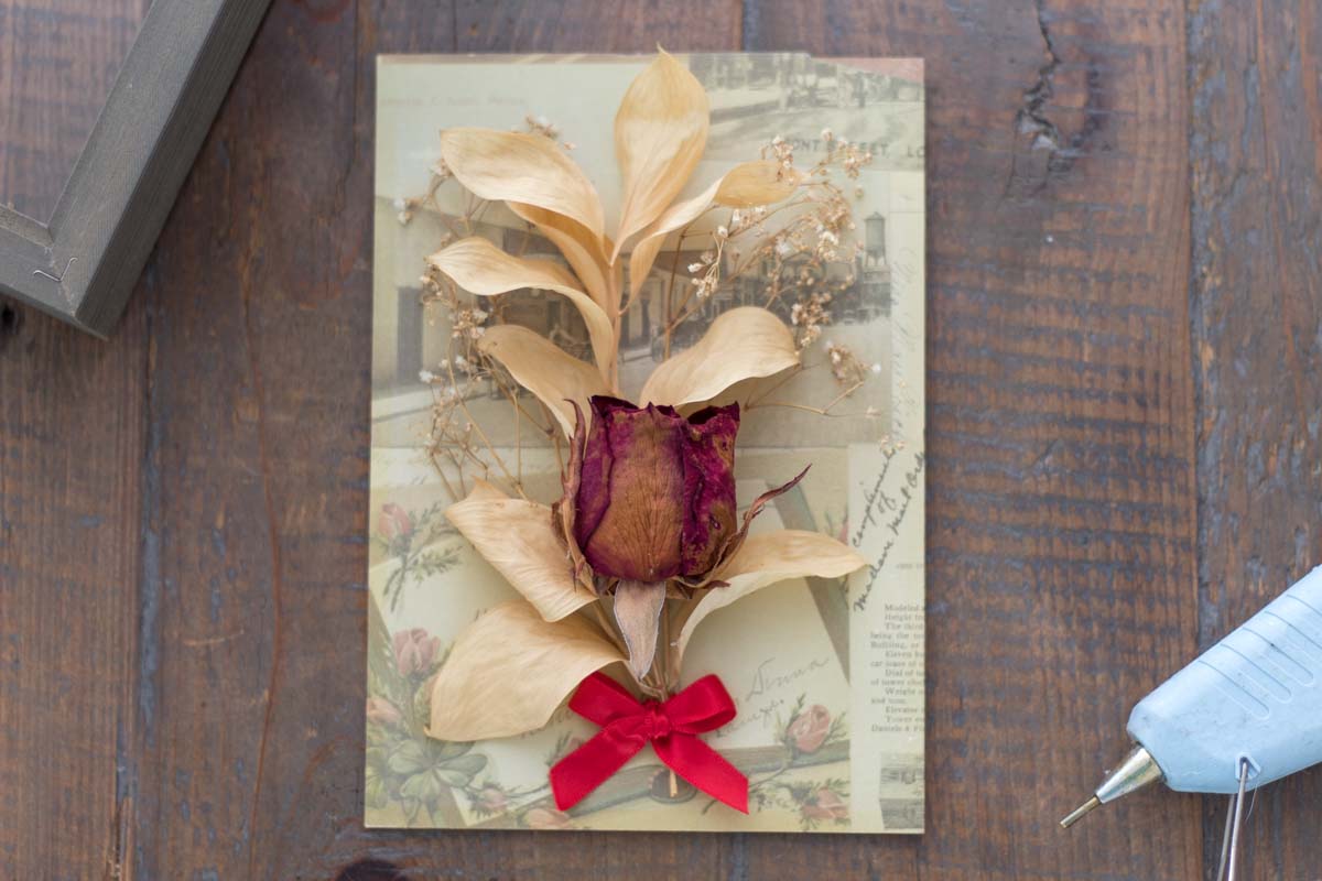 How to Make a Dried Flower Shadow Box