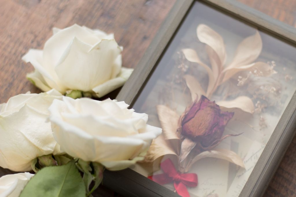 closeup of dried red rose flower shadow box on a farmhouse table with three fresh white roses. 