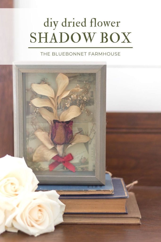 dried red rose flower shadow box sitting on antique books with fresh white roses on top of an antique dresser. text reads "diy dried flower shadow box by the bluebonnet farmhouse"