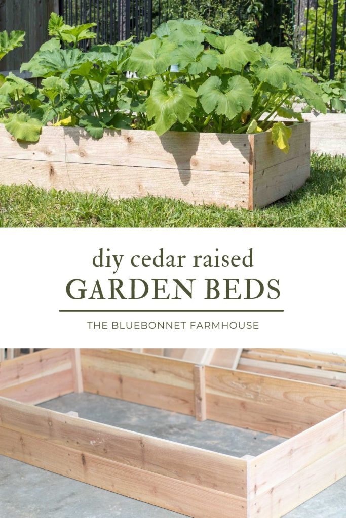 raised garden beds - one filled with squash plants and the other completely assembled on garage slab. text reads "diy cedar raised garden beds".