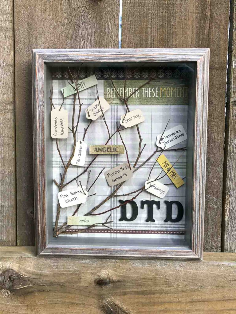 diy tree branch shadow box with paper tags in the twigs with memories written on them, painted black wooden letter initials "DTD", text reads "remember these moments", and a neutral plaid paper background. shadow box is sitting on a wood privacy fence