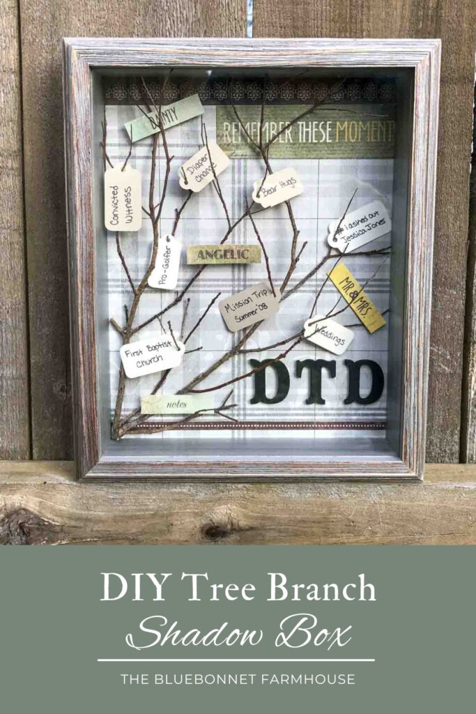 shadow box with paper tags hanging on twigs with memories written on them, painted black wooden letter initials "DTD", text reads "remember these moments", and a neutral plaid paper background. shadow box is sitting on a wood privacy fence and the image text reads "DIY tree branch shadow box - the bluebonnet farmhouse"